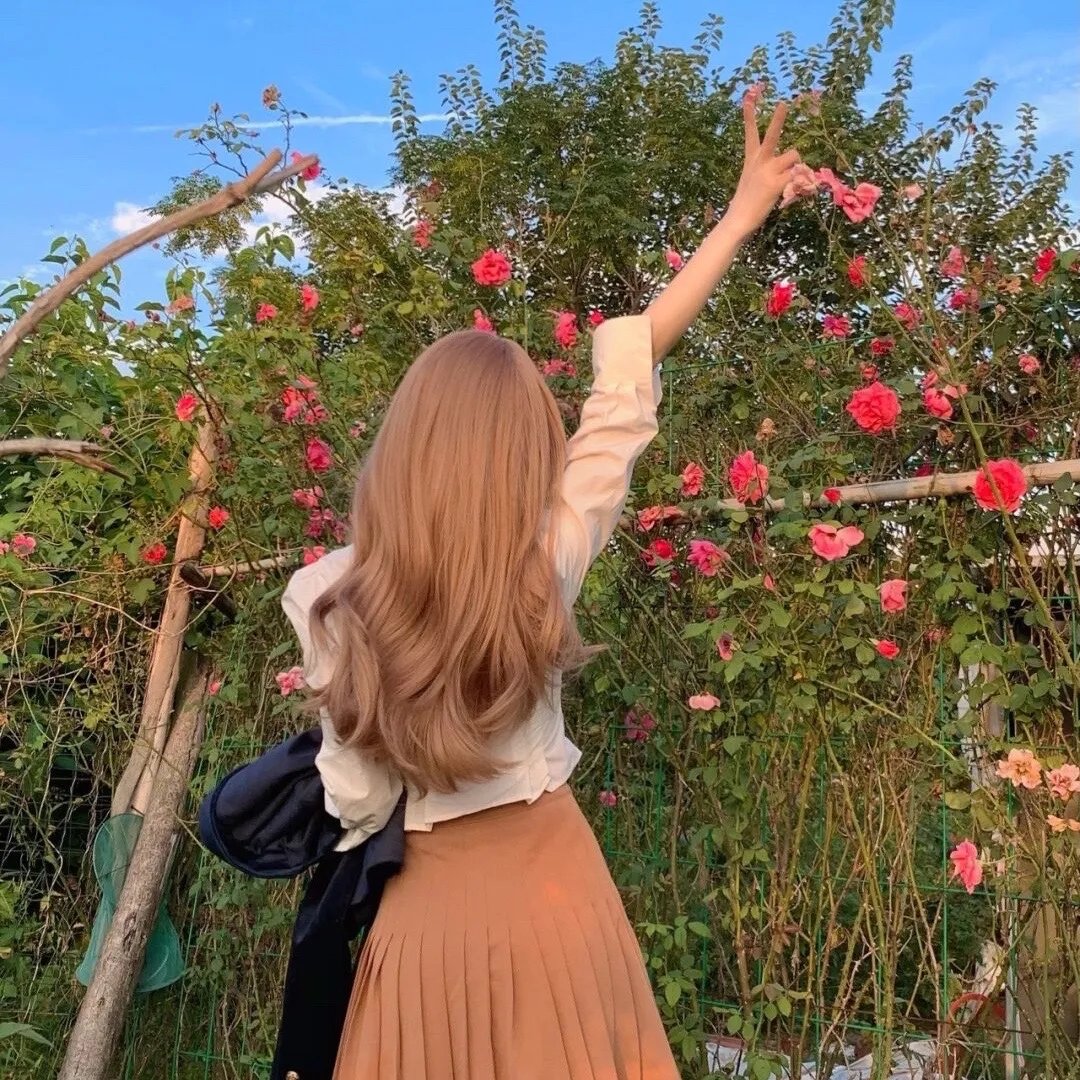 北斗星粤语